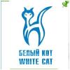 "Белый кот" в Набережных Челнах