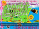 Аренда: Отдых на море в ЛАЗУРОНОМ У ПЕРСИКА