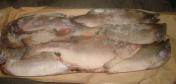 Горбуша мороженая н/р