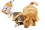 Продам: Ветеринар в Костроме, лечение животных, анализы, корма,...