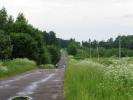 Продам: В Волоколамском районе 72 гектара по Новорижскому