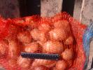 Продам: Картофель мытый