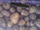 Продам: Картофель свежий, вкусный
