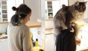 Продам: Купить : Средства для чистки дома-100 процентов натурально