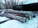 Продам: Лес круглый (кругляк). Лиственница.