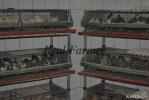 Продам: Оборудование для птицеводства, животноводства
