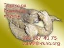 Продам: Прессматериал АГ-В в наличии и под заказ.