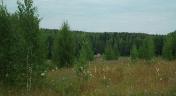 Продам: Пять гектаров земли сельхозназначения дешево