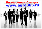 Продам: Разработка бизнес планов в Самаре, в Тольятти