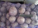 Продам: Свекла свежая, оптовые поставки