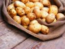 Продам: Семенной картофель