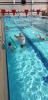 Услуги: Плавание для детей с 2х лет, индивидуально, группы