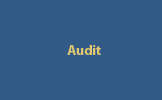 Audit