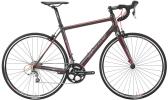 JAMIS XENITH ENDURA SPORT BIKE 2015