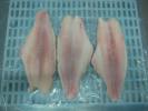Pangasius (Basa) Fillet Untrimmed