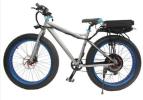 Passion Ebike 48v 1500 watt electric fat bike