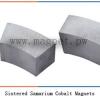 Sintered Samarium Cobalt Magnets