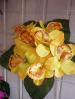 Орхидея-1 - 20,00 грн.