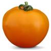 Семена оранжевого томата KS 18 F1