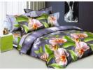 Комплект постельного белья Орхидея розовая