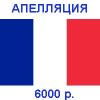 Апелляция визы при отказе