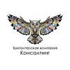 Бухгалтерская компания Консалтинг