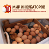 Мир инкубаторов