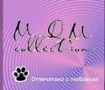 ПК MDM Collection