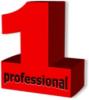 1professional.by