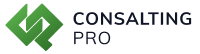 Consalting Pro
