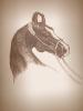 East horse