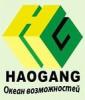 HAOGANG - ОКЕАН ВОЗМОЖНОСТЕЙ