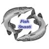 fish-snasti