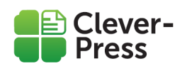 Clever-Press.in