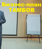 Бизнес-план Тамбов