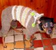 Вязание ручное свитеров под ЗАКАЗ из собачьего  пуха !