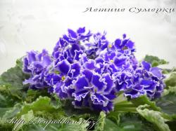 Летние Сумерки (К.Морев)