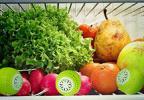 Поглотитель запахов для холодильника Fridge Balls (Фридж Болс)