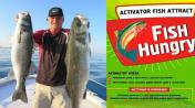 Продам: Активатор усилитель клёва Fishhungry стимулятор Голодная Рыба...