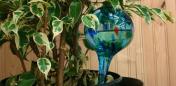 Шары для полива растений Aqua Globe(Аква Глоб )