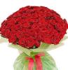 101 роза красного цвета 70см