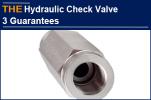AAK Hydraulic Check Valve with 3 major guarantees, waiting for...