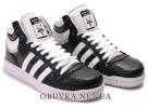 Adidas Top Ten Hi 03