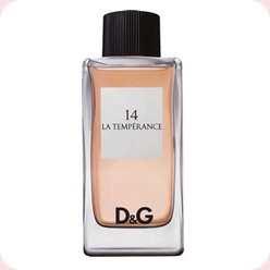 Dolce And Gabbana   14 La Temperance