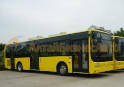 Golden Dragon XML 6125