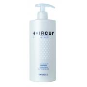 HairCur 2011 Шампунь против перхоти 750мл