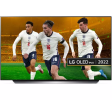 LG OLED48C24LA 48" Умный OLED-телевизор 4K Ultra HD HDR с поддержкой Google