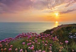 Lands End