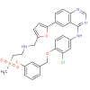 Lapatinib