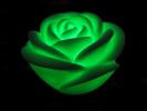 Light Rose LED 7 color